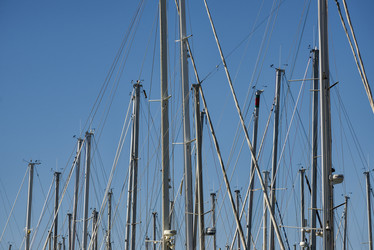 Similar image 1736082