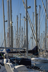 Similar image 1736084