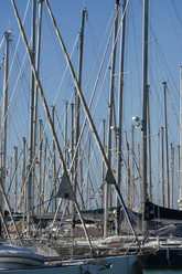 Similar image 1736086