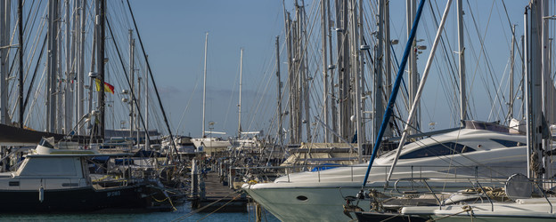 Similar image 1736088