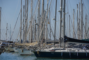 Similar image 1736091