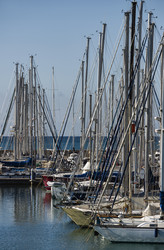 Similar image 1736114