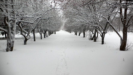 Similar image 1736137