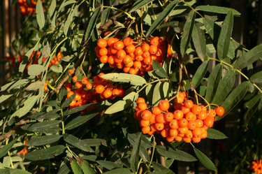 Similar image 1736144