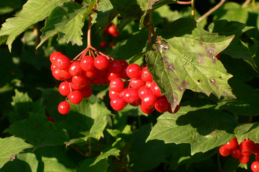 Similar image 1736145