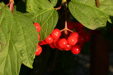 Similar image 1736146