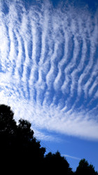 Similar image 1736148