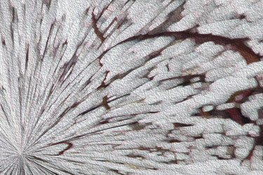 Similar image 1736177