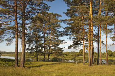 Similar image 1736201