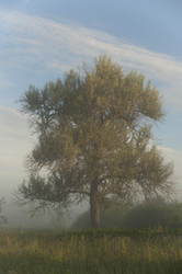 Similar image 1736202