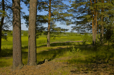 Similar image 1736204