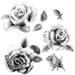 Similar image 1736211