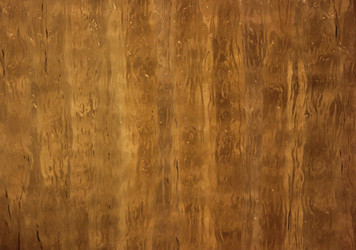 Similar image 1736224