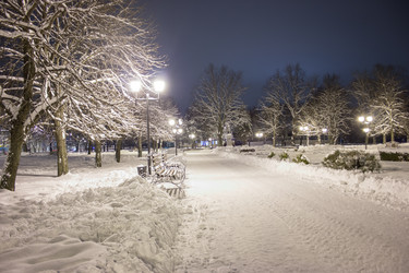 Similar image 1736247