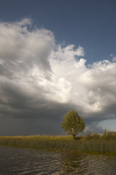 Similar image 1736302