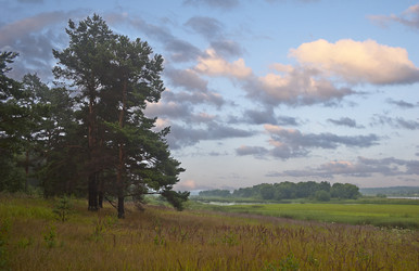 Similar image 1736304