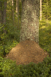 Similar image 1736306