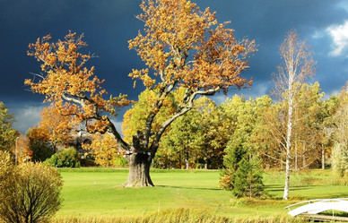 Similar image 1736315