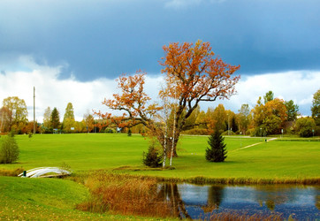 Similar image 1736316