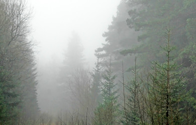 Similar image 1736317