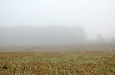 Similar image 1736326