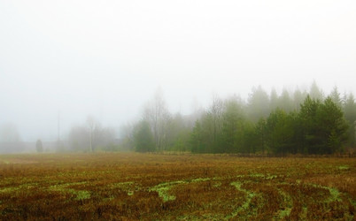 Similar image 1736327