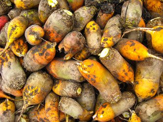 Similar image 1736331