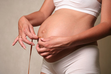 Similar image 1736403