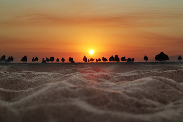 Similar image 1736405