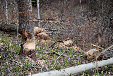 Similar image 1736468