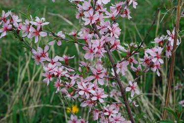 Similar image 1736469