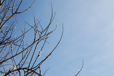 Similar image 1736477