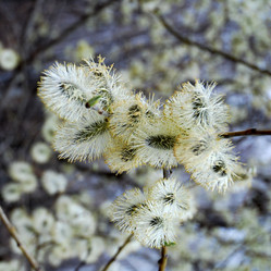 Similar image 1736513