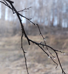 Similar image 1736514