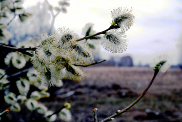 Similar image 1736516