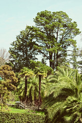 Similar image 1736608