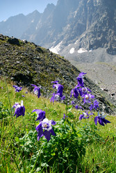 Similar image 1736935