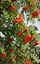 Similar image 1737385