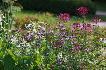 Similar image 1737422