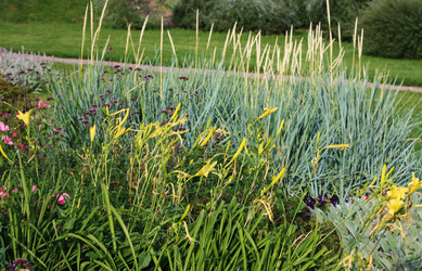 Similar image 1737423