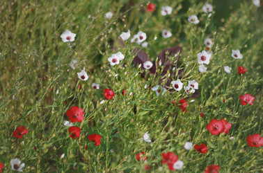 Similar image 1737455