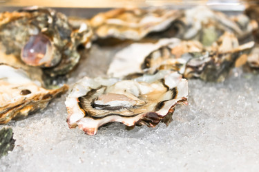 Similar image 1737465