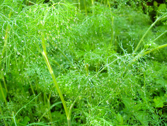 Similar image 1737478