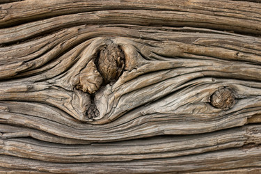 Similar image 1737619