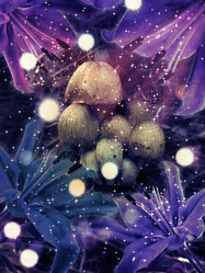 Similar image 1737652