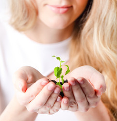 Similar image 1737857