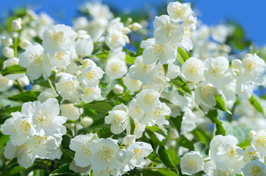 Similar image 1737858