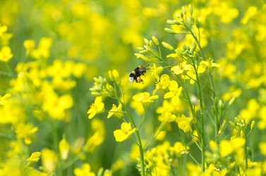 Similar image 1737859