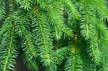 Similar image 1737862