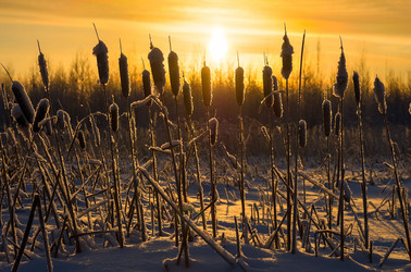 Similar image 1737865